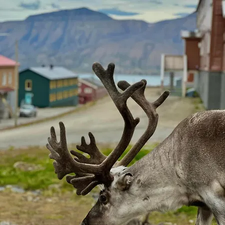 Gjestehuset 102 - Your Away From Home! Longyearbyen