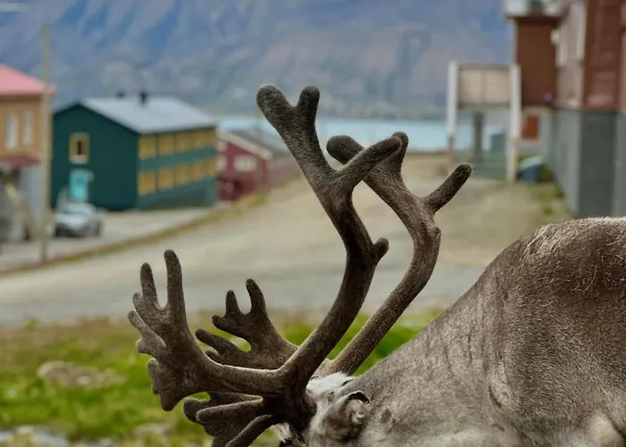 Gjestehuset 102 - Your Away From Home! Longyearbyen