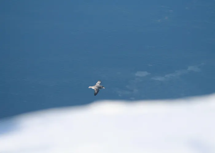 Gjestehuset 102 - Your Away From Home!