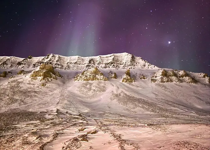 Gjestehuset 102 - Your Away From Home! Vandrarhem