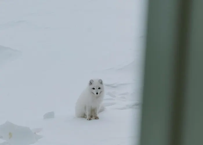Gjestehuset 102 - Your Away From Home! Vandrarhem