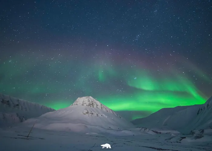 Gjestehuset 102 - Your Away From Home! Auberge de jeunesse *